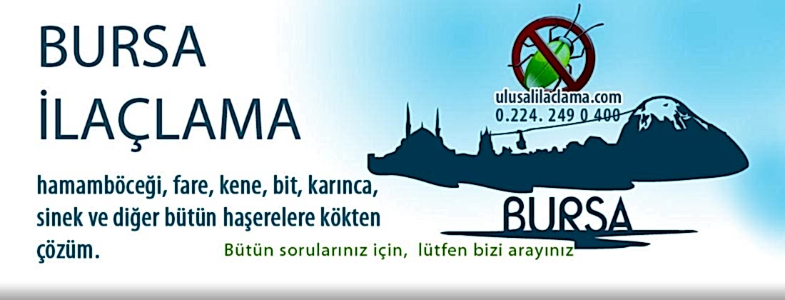 Bursa ilaçlama kökten çözüm ve ilaçlama fiyatları...
