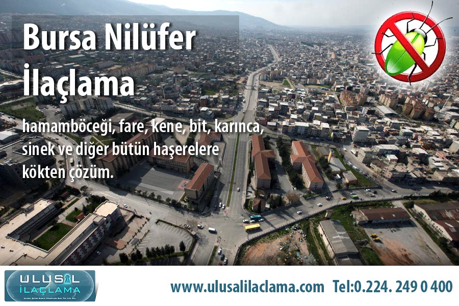BURSA NİLÜFER İLAÇLAMA...