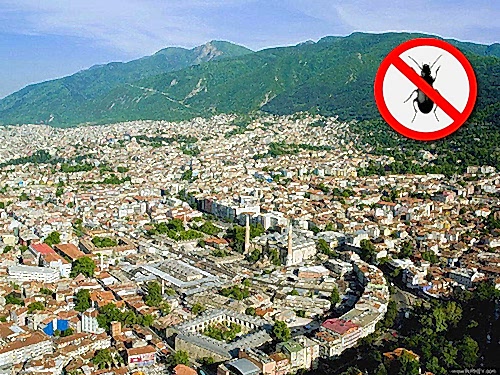 Bursa ilaçlama BÖCEK İLAÇLAMA...