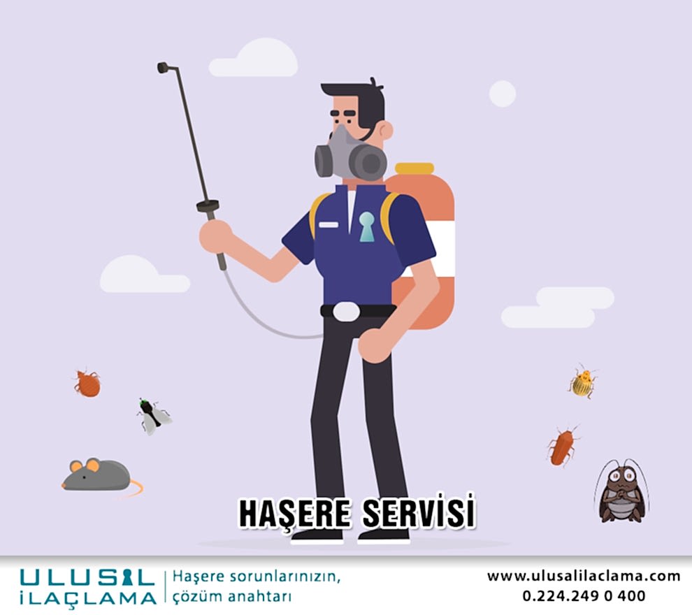 HAŞERE SERVİSİ...