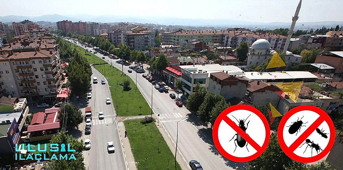 BÖCEK İLAÇLAMA BURSA NİLÜFER...