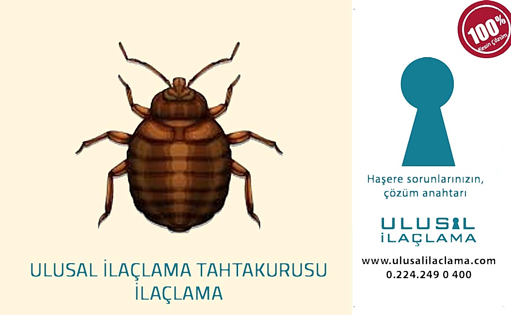 TAHTAKURUSU İLAÇLAMA...