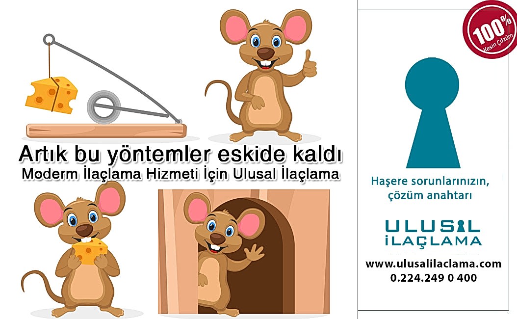 Bursa ilaçlama FARE İLAÇLAMA FİYATLARI...