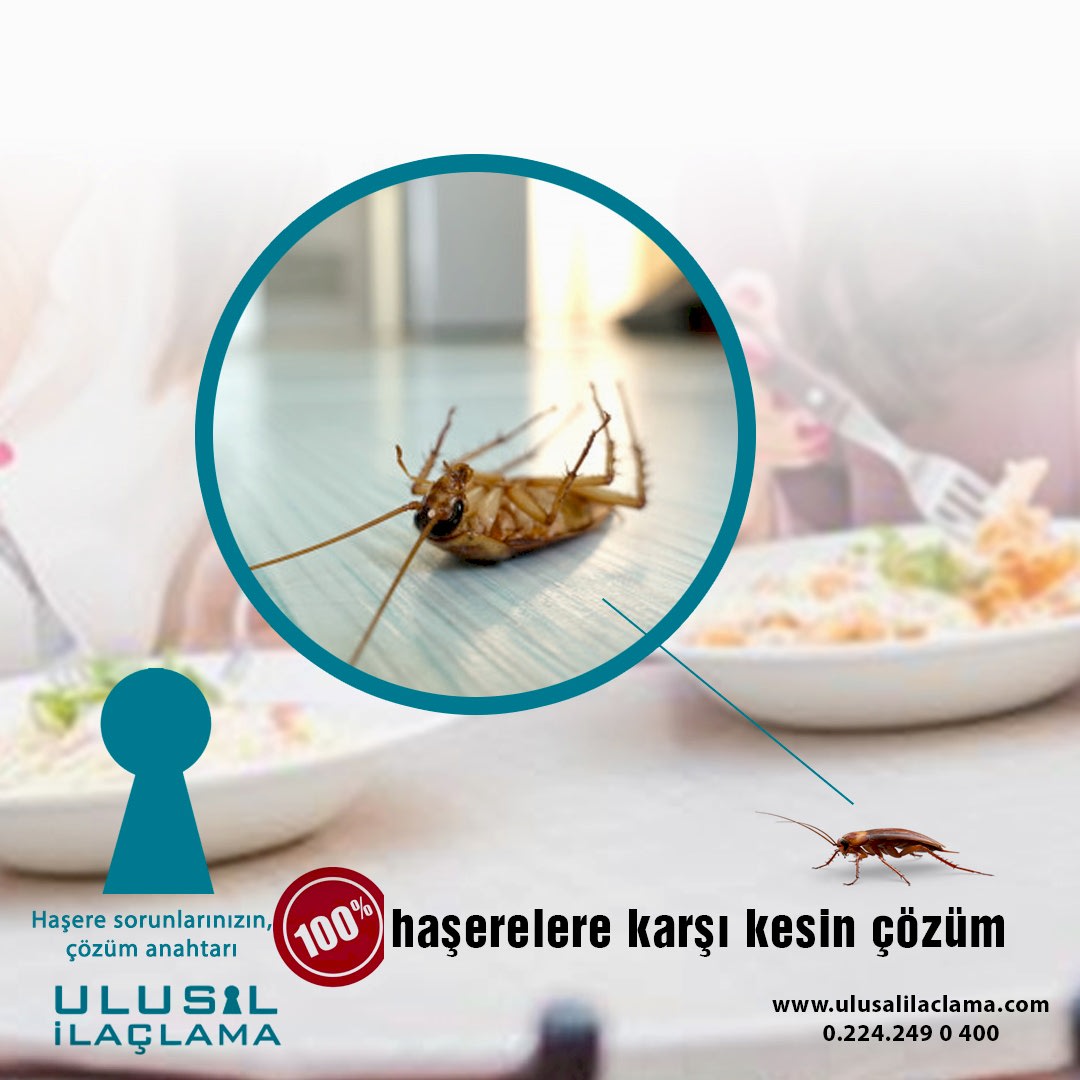 İLAÇLAMA HAŞERE...