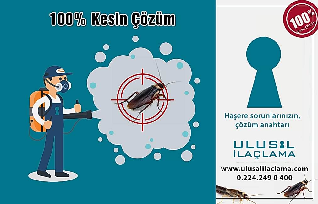 BÖCEK İLACI...