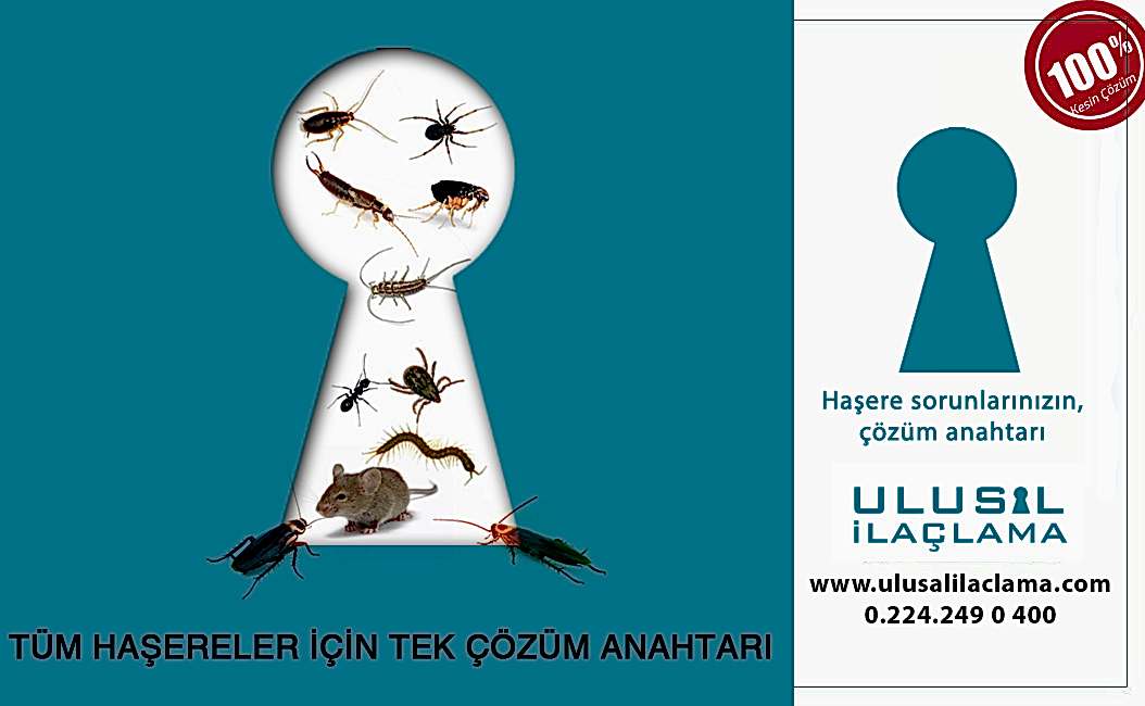 Bursa ilaçlama BURSA HAŞERE İLAÇLAMA...
