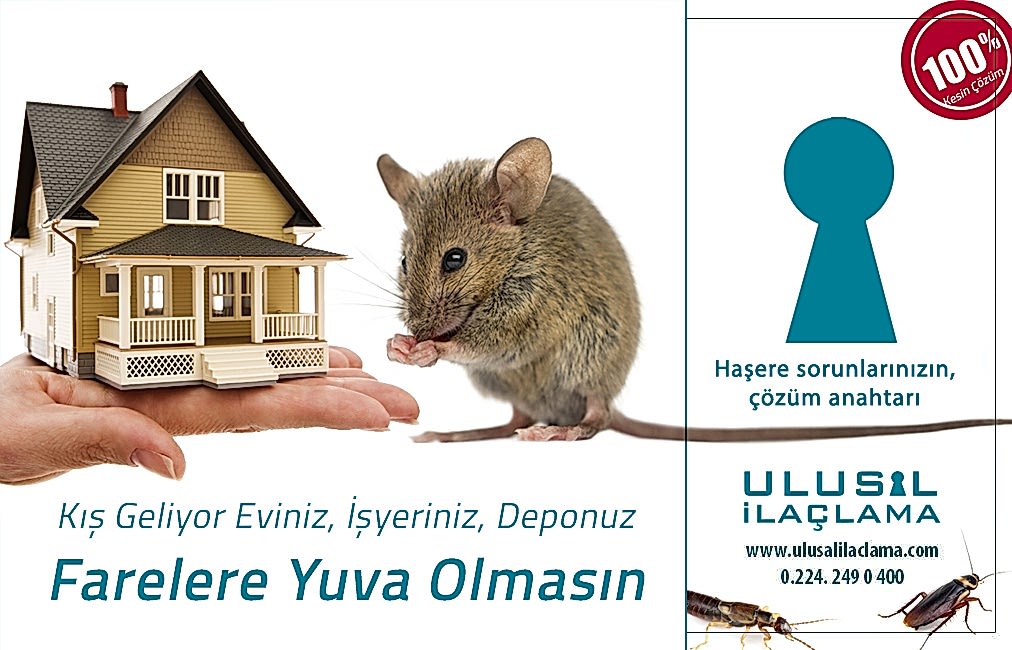 GİDERLERDEN GELEN FARELERE NE YAPMALIYIM?...