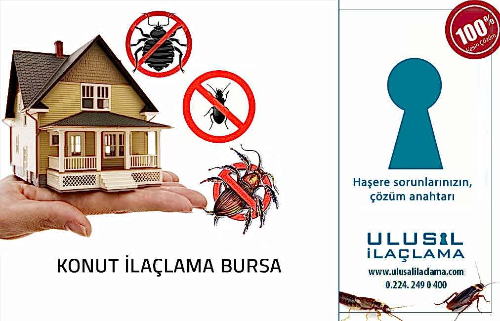 BODRUMDAN GELEN BÖCEKLERE NE YAPMALIYIM...