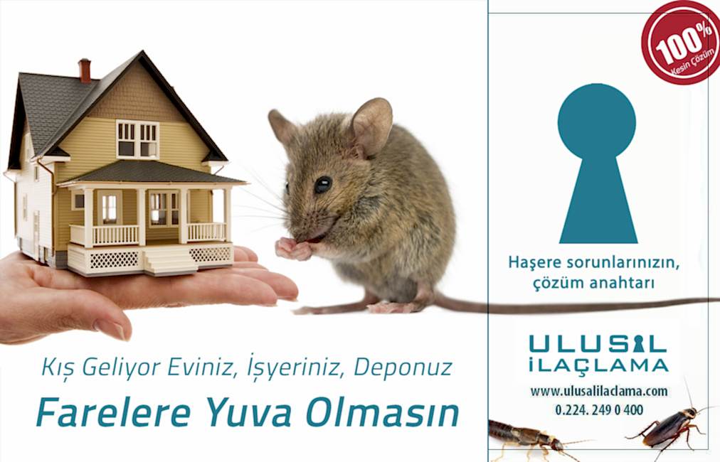 ÇATIDAN SES GELİYOR FARE OLABİLİRMİ...