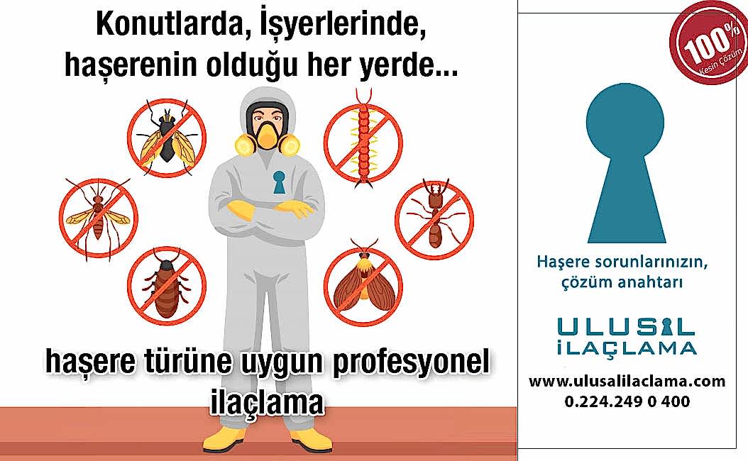 EVİMDE HAŞERELER VAR NASIL KURTULURUM...