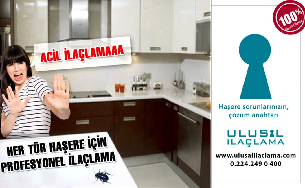 MUTFAĞIMI BÖCEK BASTI...