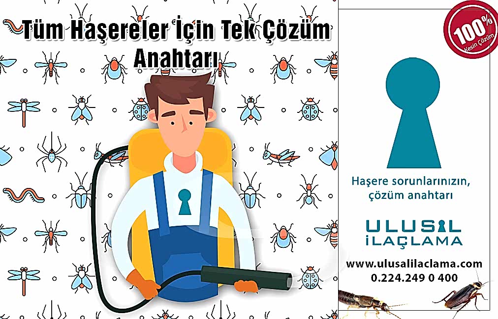 BÖCEK İLAÇLAMA...