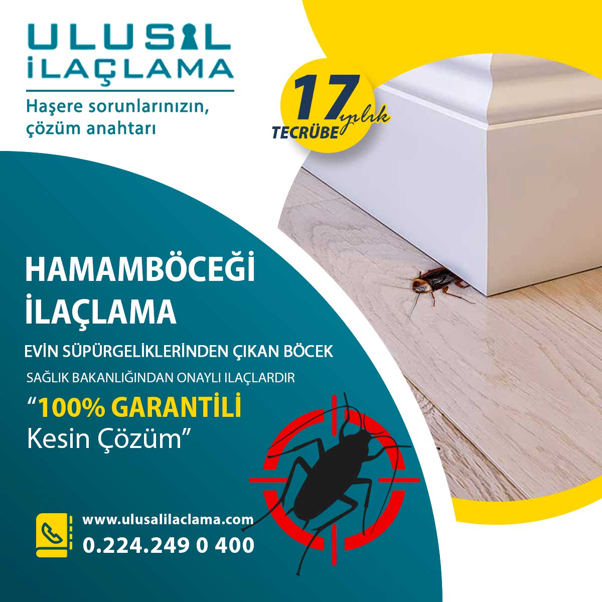 EVİN SÜPÜRGELİKLERİNDEN ÇIKAN BÖCEK...