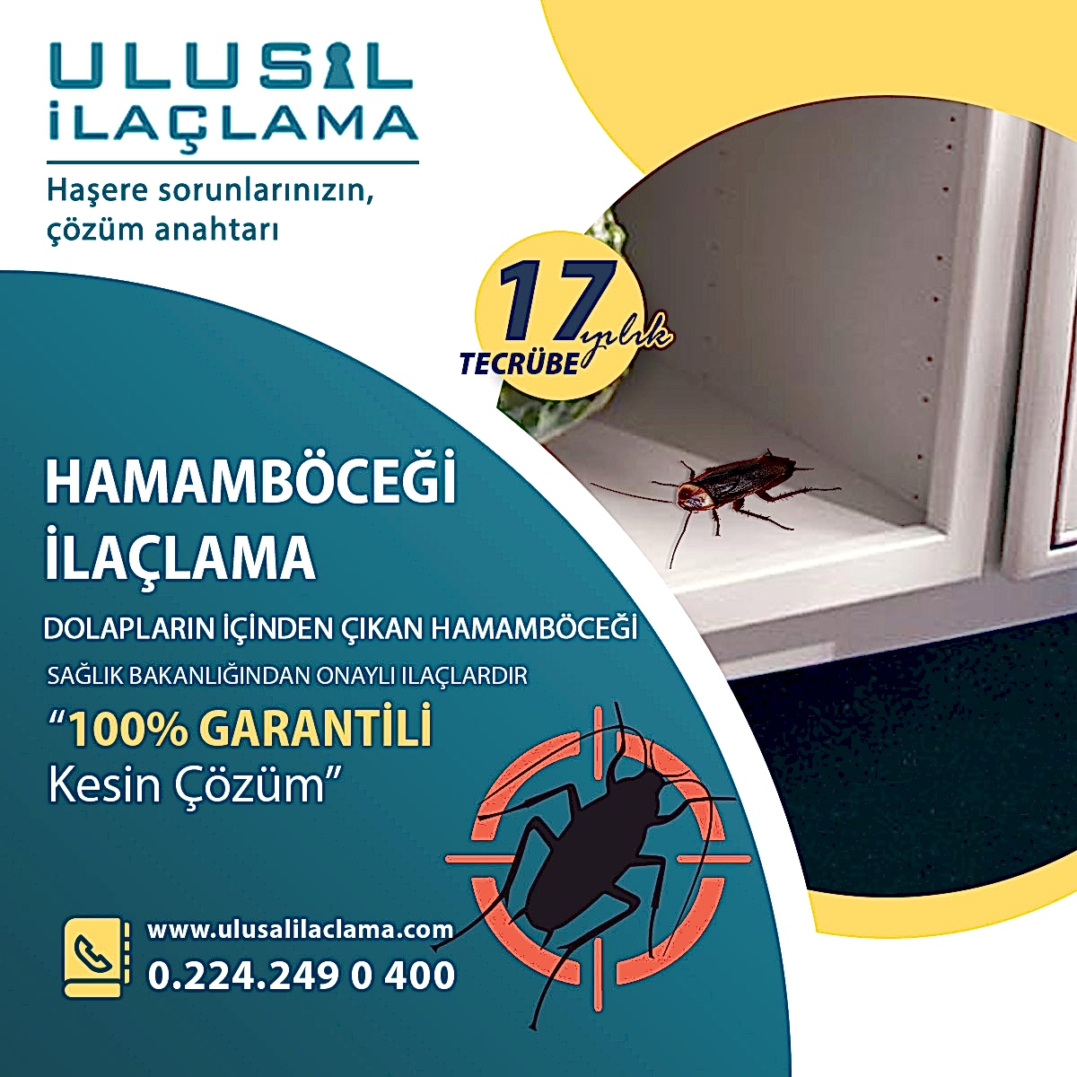DOLAPLARIN İÇİNDEN ÇIKAN HAMAMBÖCEĞİ...