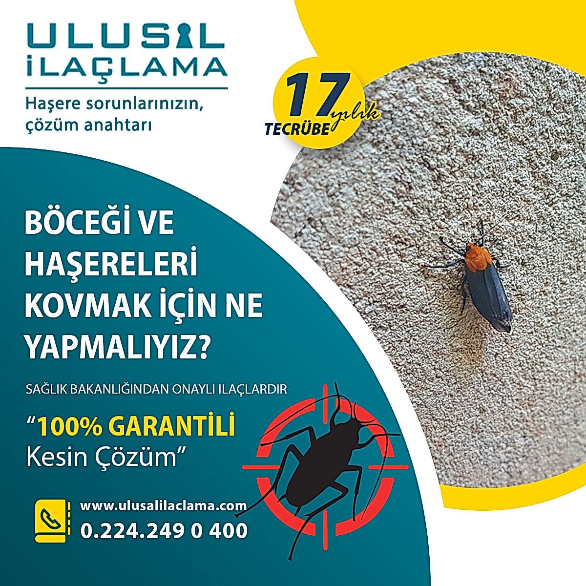 BÖCEK VE HAŞERELERİ KOVMAK İÇİN NE YAPMALIYIZ...
