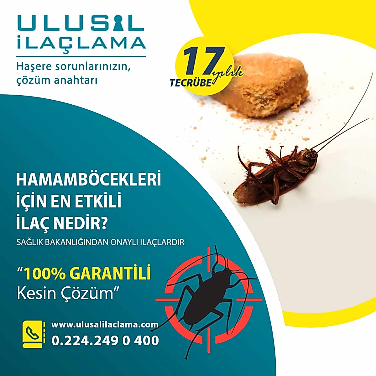 HAMAMBÖCEKLERİ İÇİN EN ETKİLİ İLAÇ NEDİR...