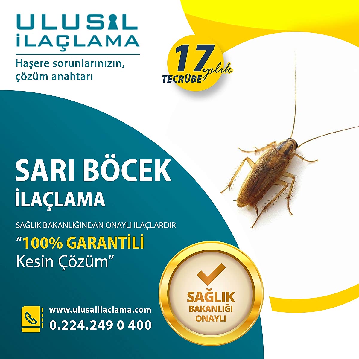 SARI BÖCEKLERDEN NASIL KURTULURUM...