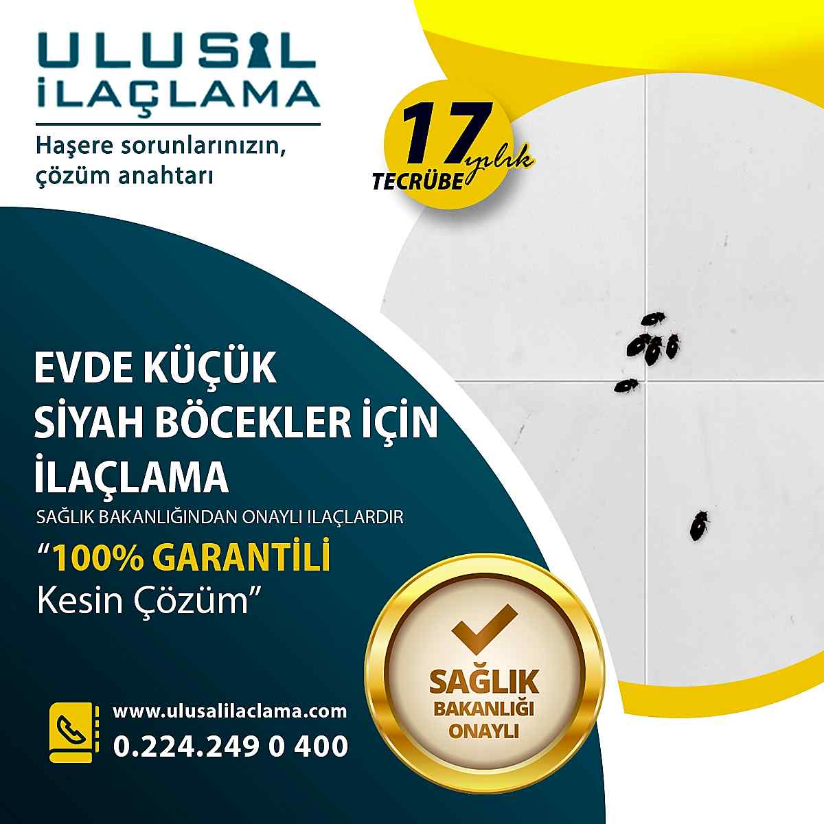 EVDE KÜÇÜK SİYAH BÖCEKLER VAR...