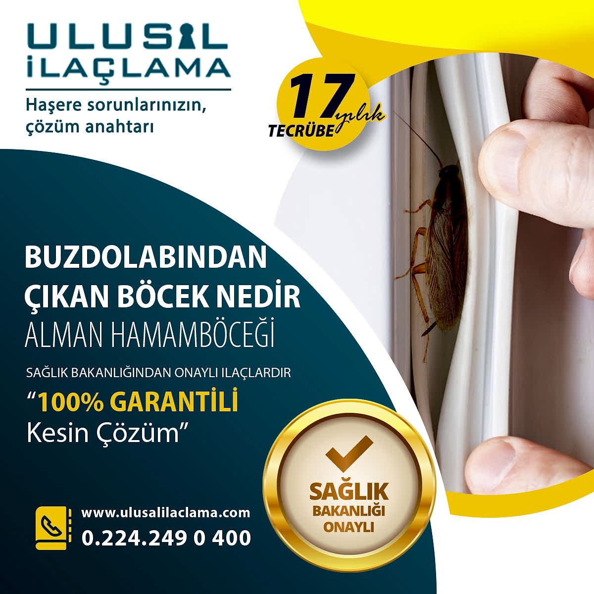 BUZDOLABINDAN ÇIKAN BÖCEK NEDİR...