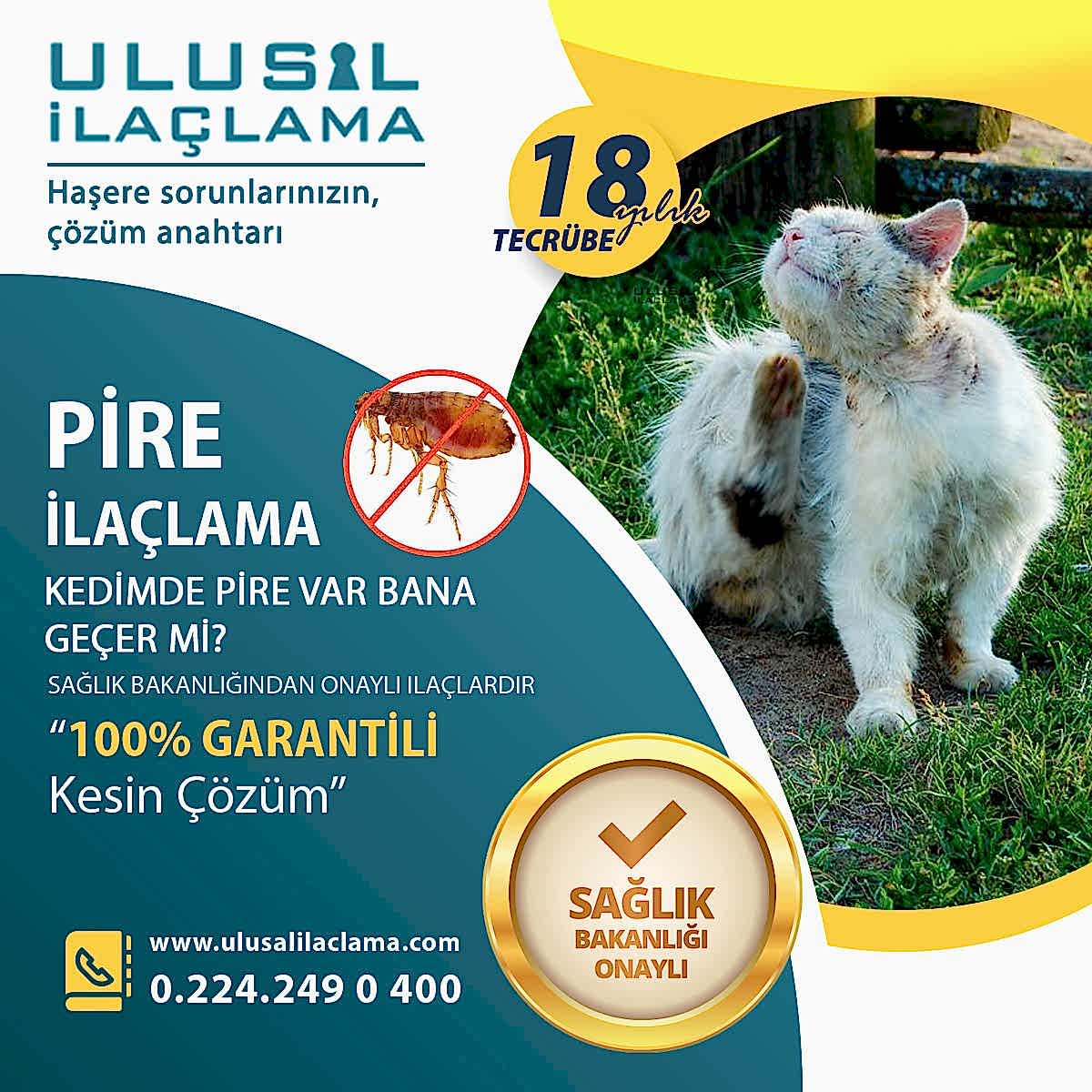 KEDİMDE PİRE VAR BANA GEÇER Mİ...