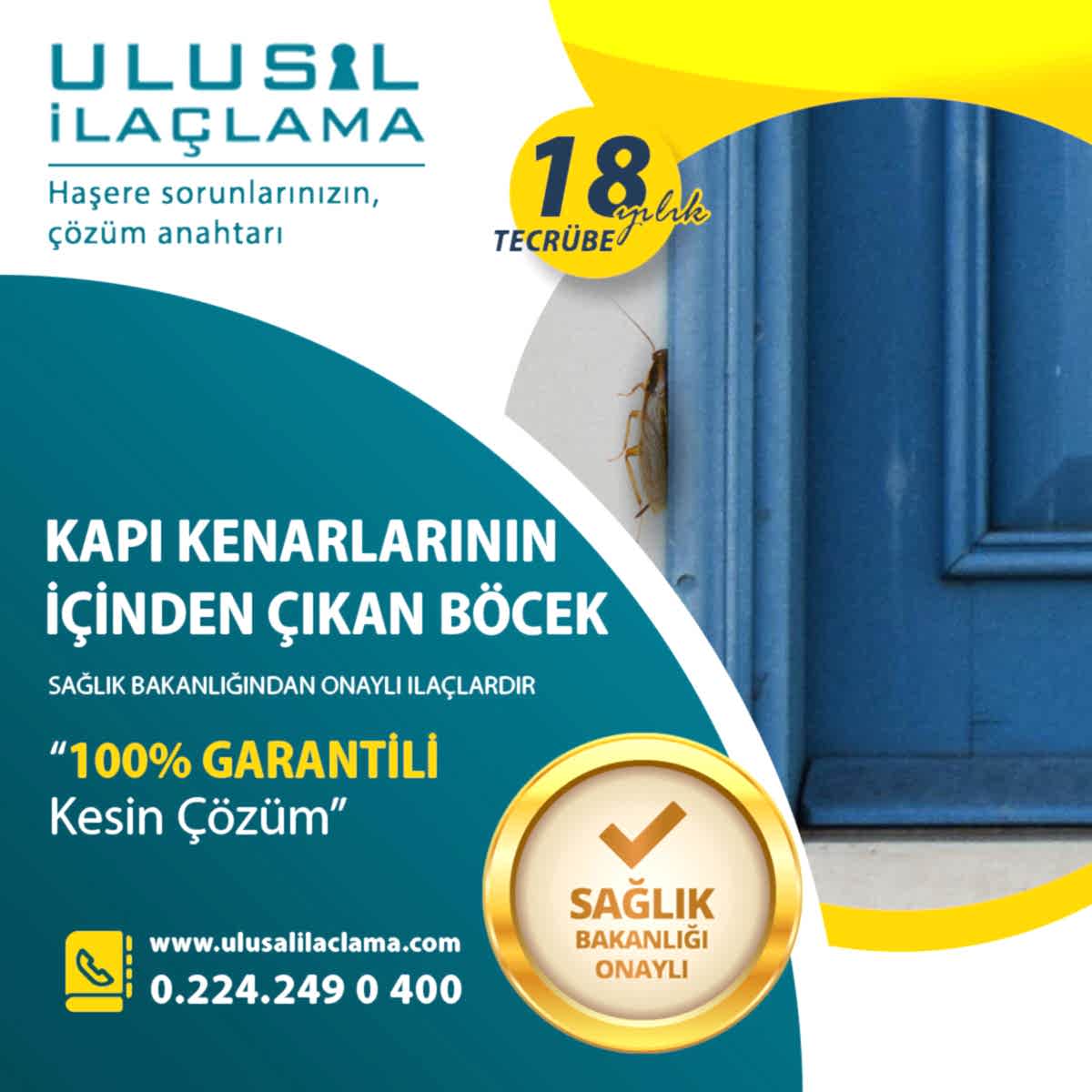 KAPI KENARLARININ İÇİNDEN ÇIKAN BÖCEK...