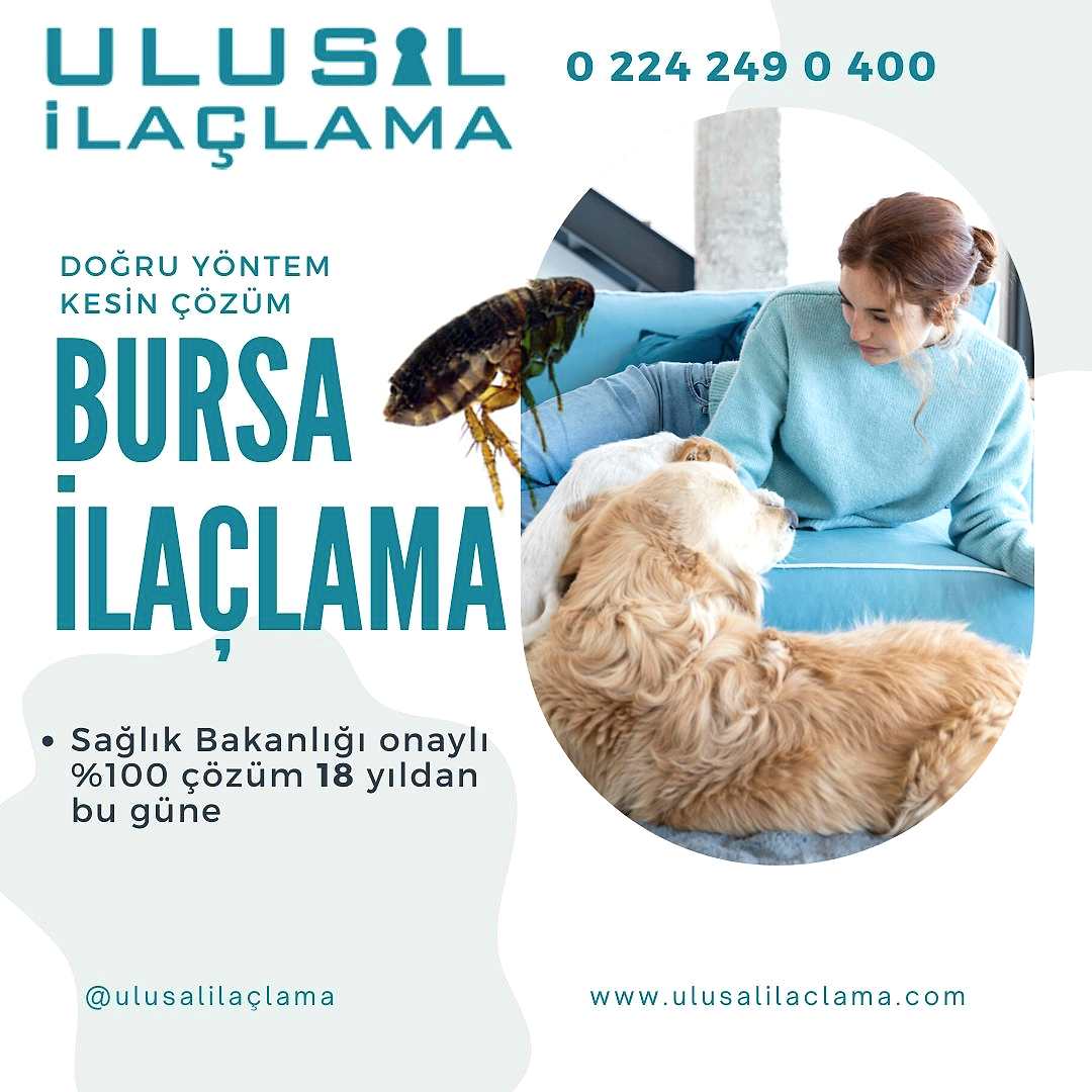 Pire İlaçlama Hakkında Bilinmesi Gerekenler...