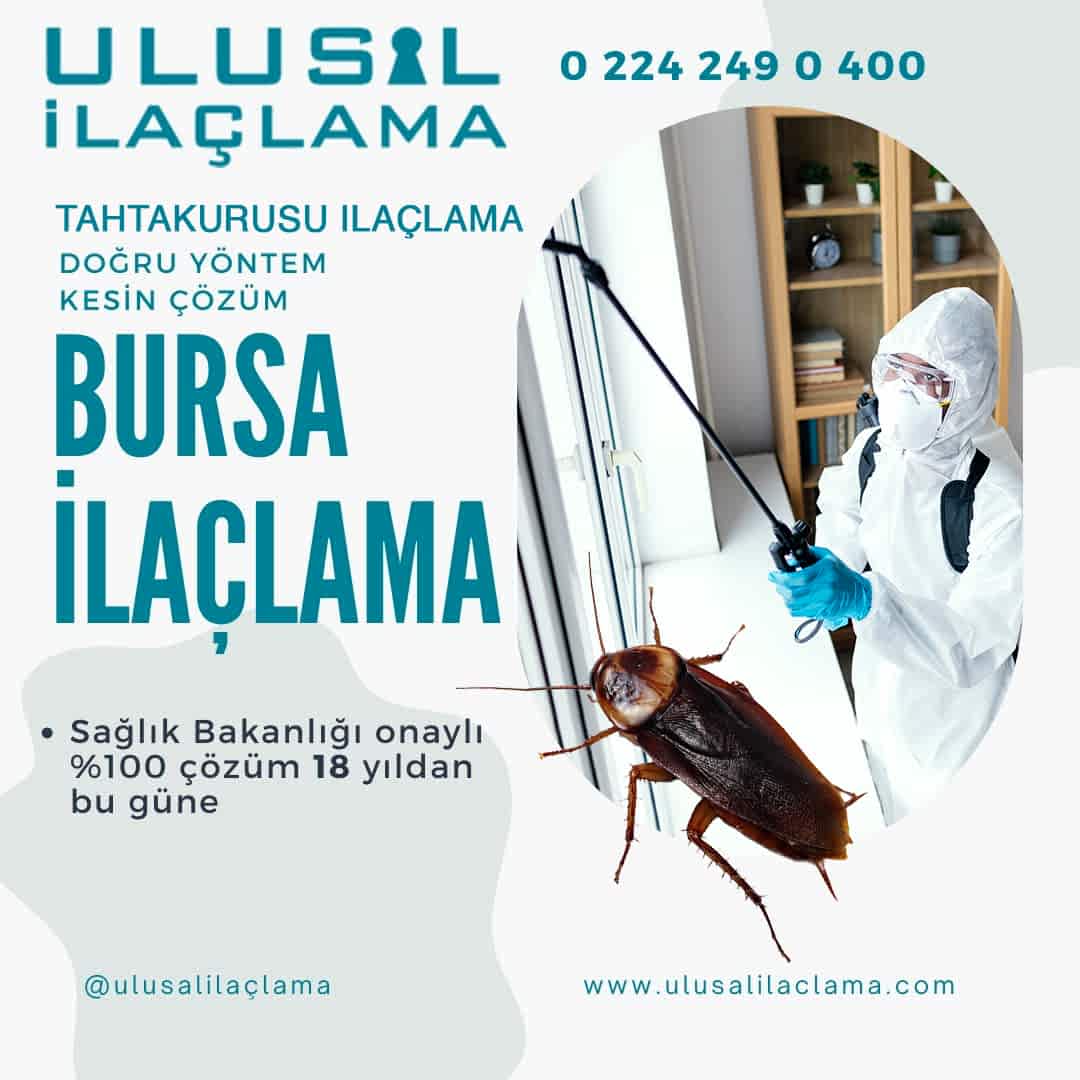 Hamam Böceklerinden Kurtulmanın Yolu...