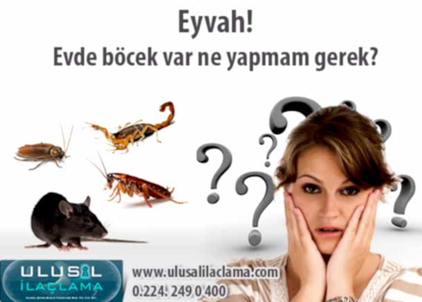 Eyvah Evde Böcek Var...