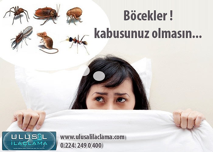 Böcekler ! Kabusunuz olmasın......