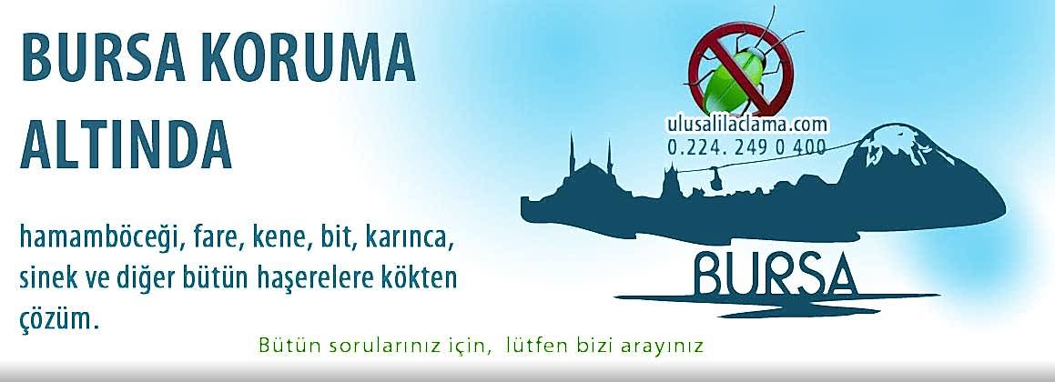 BURSA İLAÇLAMA ...