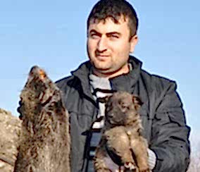 Köpekten Büyük Fare!...